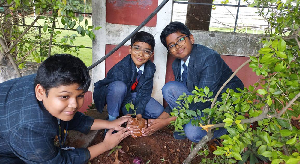 Tree Plantation Drive
