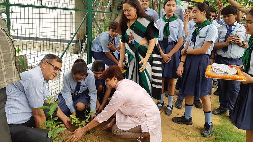 Plantation Drive Plantation Drive - Ryan International School, Dasna